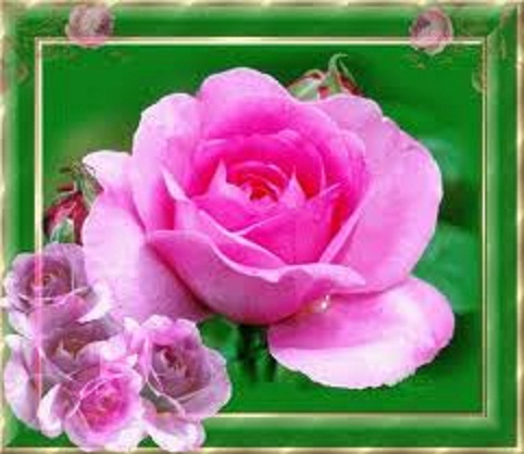 Проза жизни