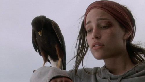 Отчаянный полет