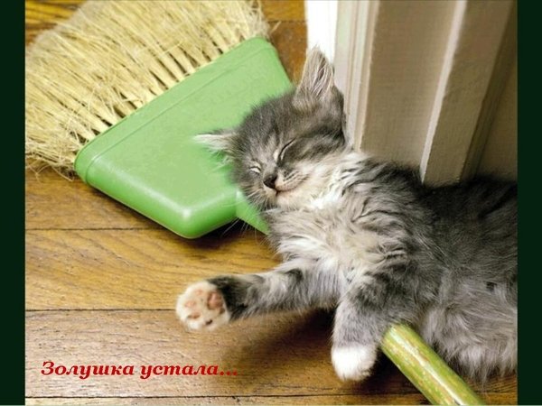 Прилегла, я так устала