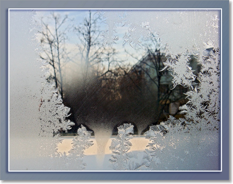 Следы стекаются в тропу...