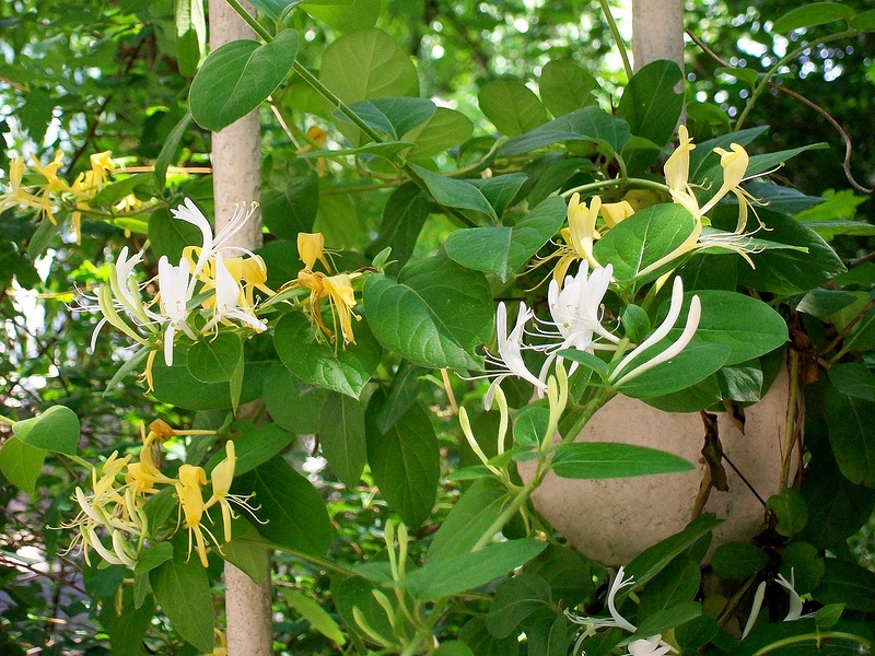 Твоя любовь меня спасает