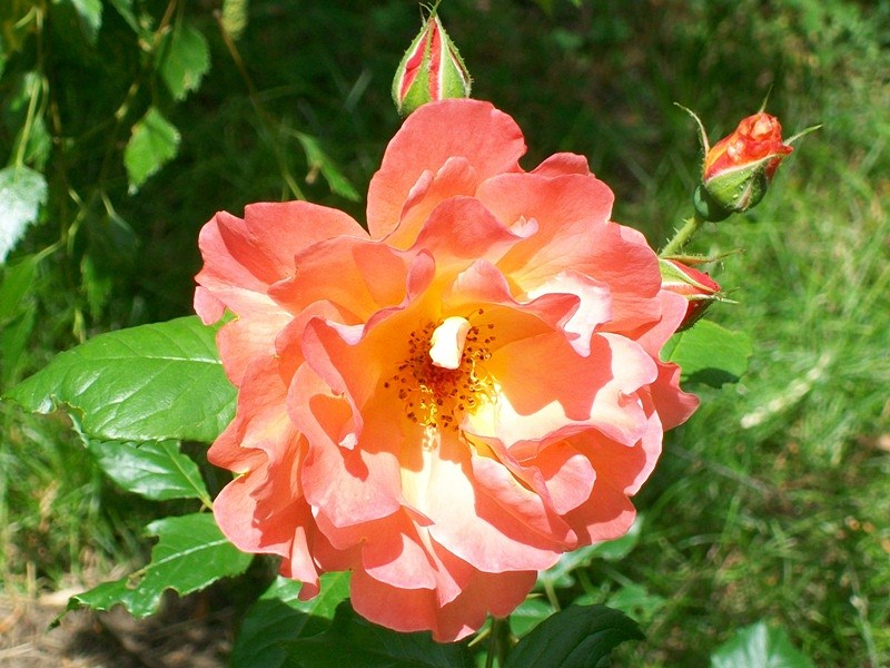 Отдохнуть дала