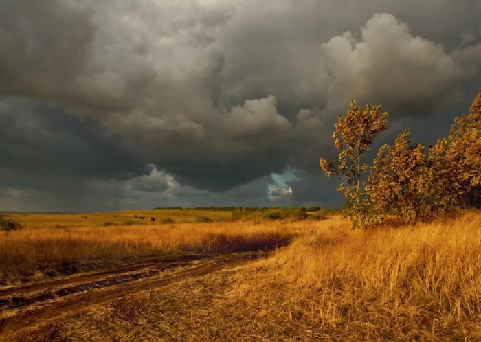 Рукою провидения