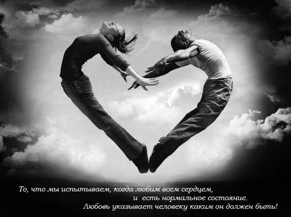 Скажи - отвечу