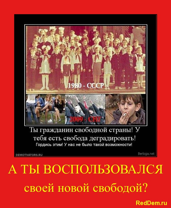 Писать поэту бы о птичках...