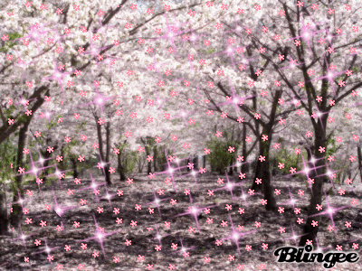 Я помню сад и шум дождя...