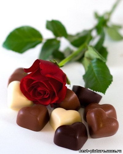 Ловлю губами снежный шоколад