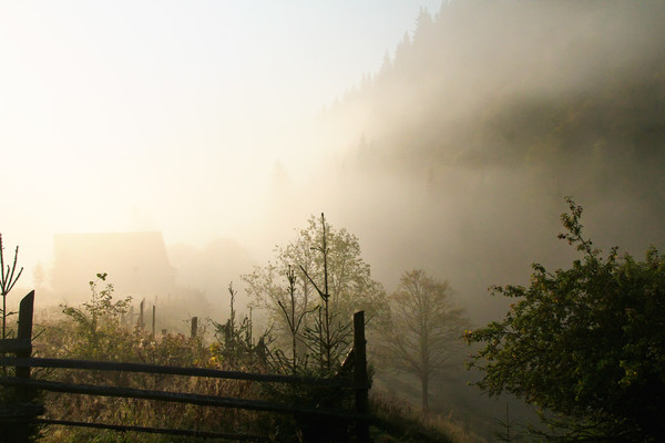 Там, знаю, оживают сказки...