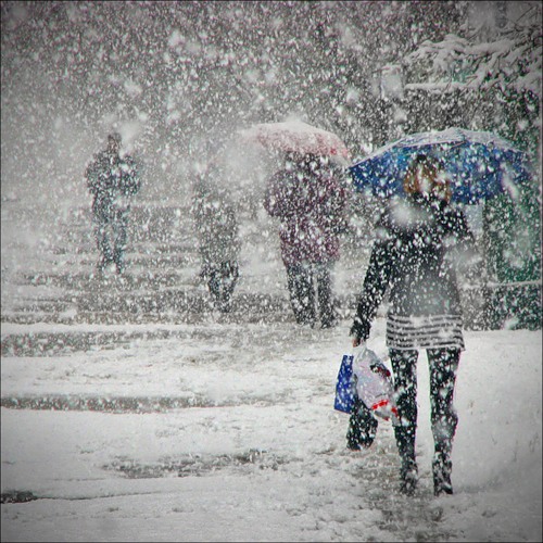 Blankvers, schneevers