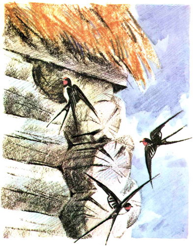 Глиняный ком