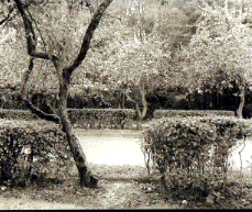 Прогулка с памятью