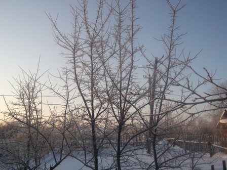 Утро наступает