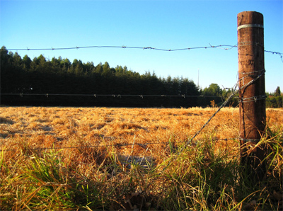 На минном поле