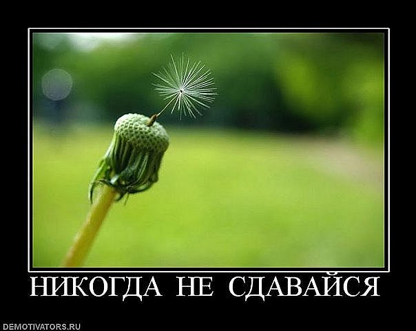 Тепло феи