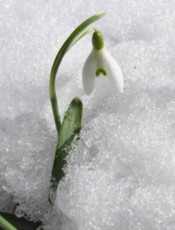 Скоро кончится февраль