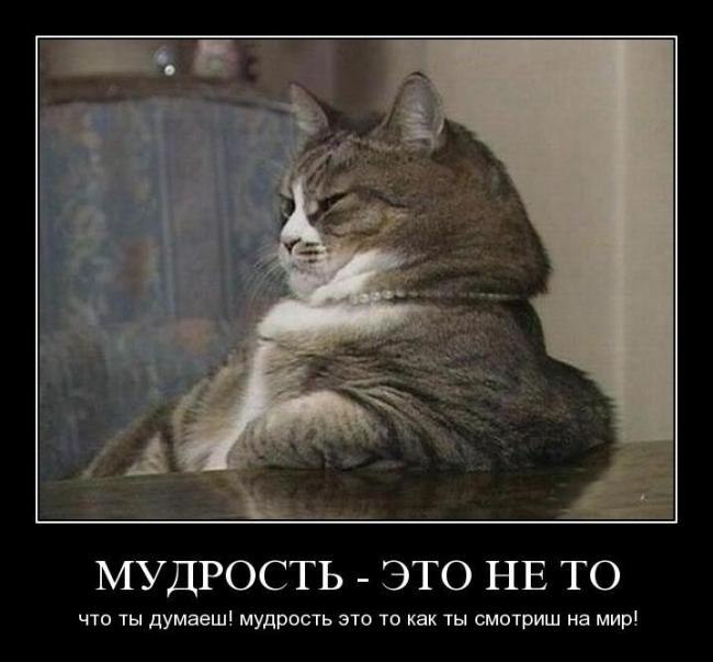 Мудрость