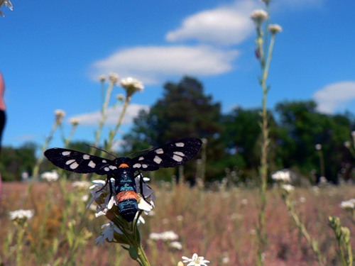 Четверо смелых. Глава 9