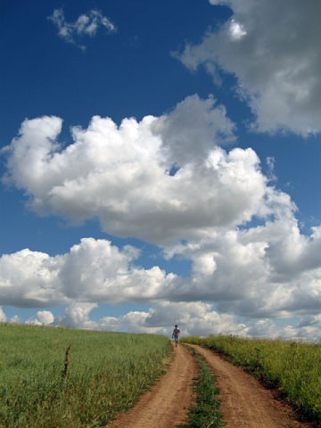 Жизнь прекрасна
