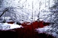 Снежное Таинство