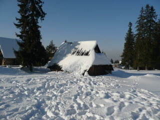 Февральские метели