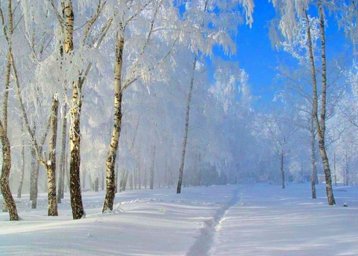 http://stihi.ru/pics/2012/02/26/5366.jpg