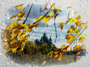 Судьбу благодарю