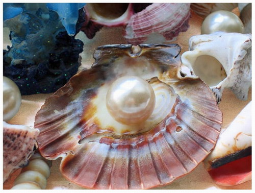 Подарок. Графу Генри