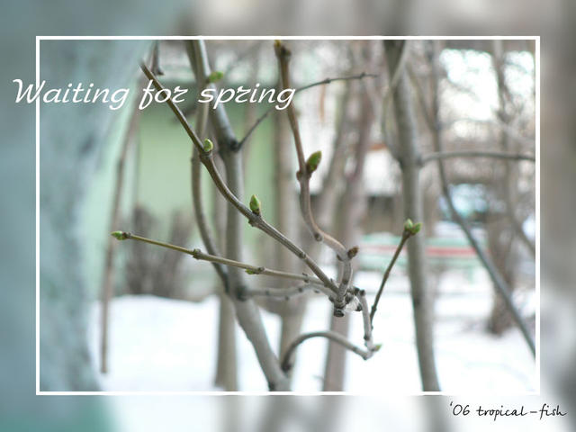 Ожидание весны