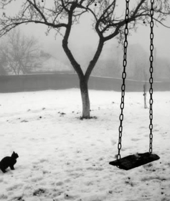 Немой вопрос в его глазах...