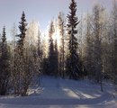 Ранним, утренним рассветом