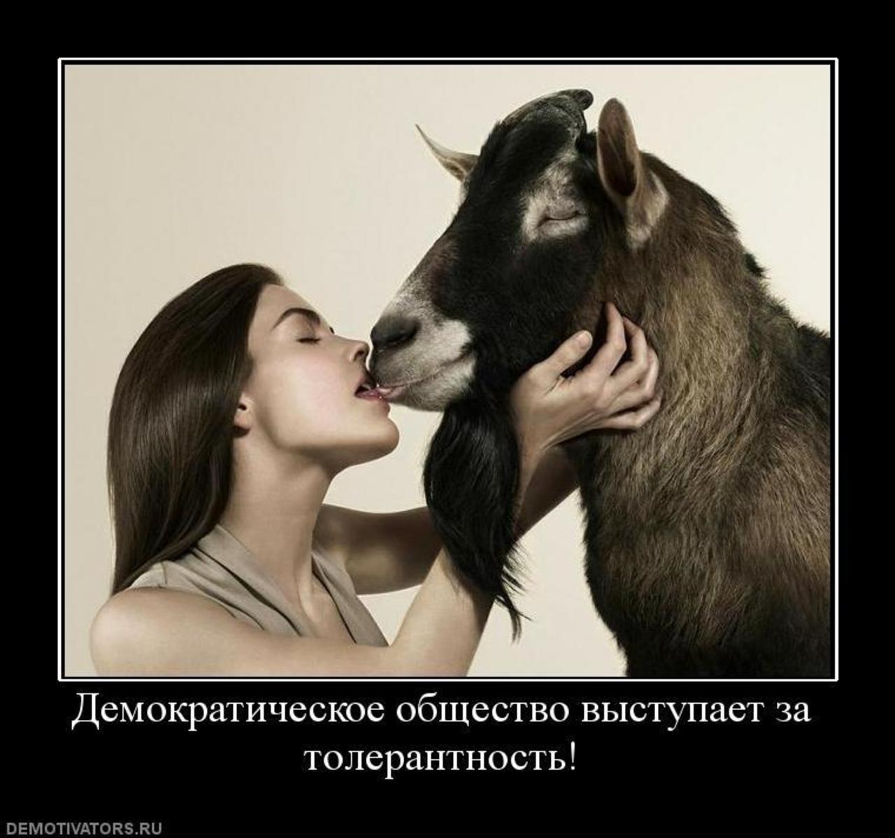 Козочка Моя Так И Оттарабанил Бы