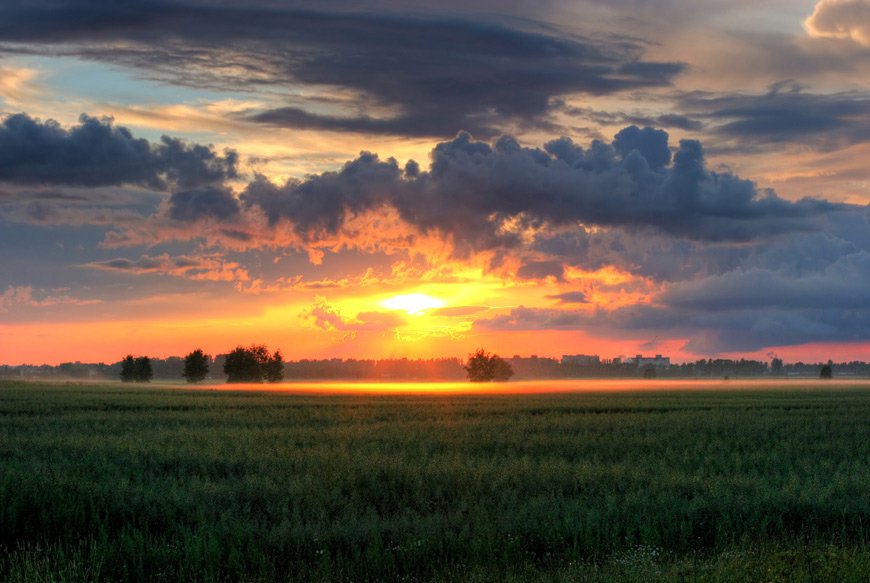 Песня небо голубое поле. Красивое поле. Небо вечер лето. Русское поле закат.