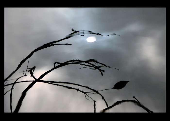 Классическое написание газели