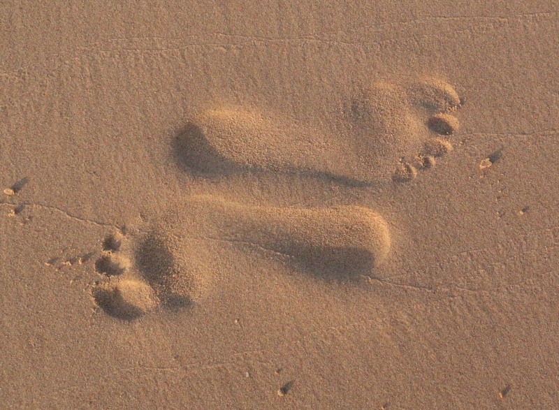 Незрелая любовь