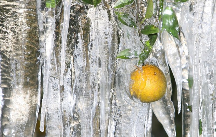 Свет, за окнами свет - Я одна