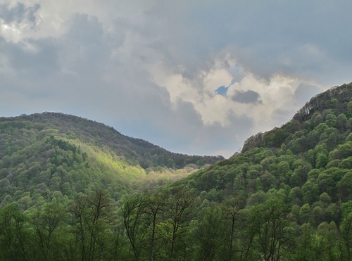 На стихи Нелли Ваторопиной
