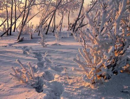 Я найду свою любовь