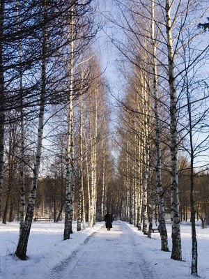 Ушедшая любовь