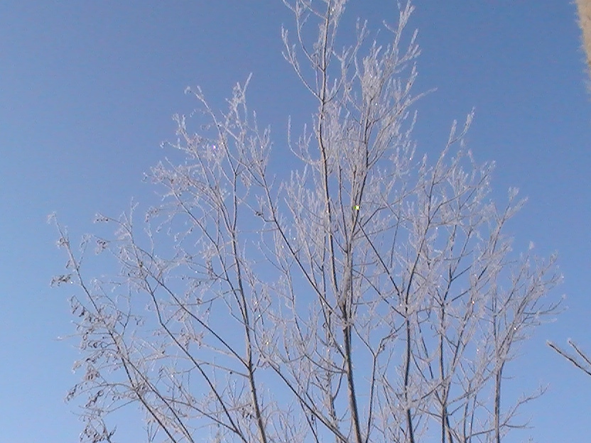 Есть ли любовь на свете?