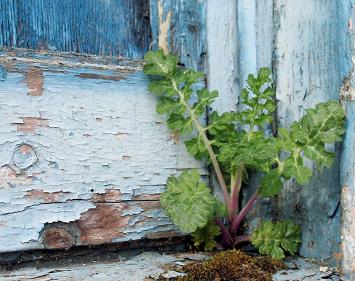 потрiбне на п