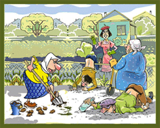 Ох, люблю свою я дачу