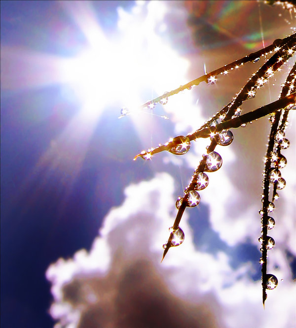 В гостях у Бога