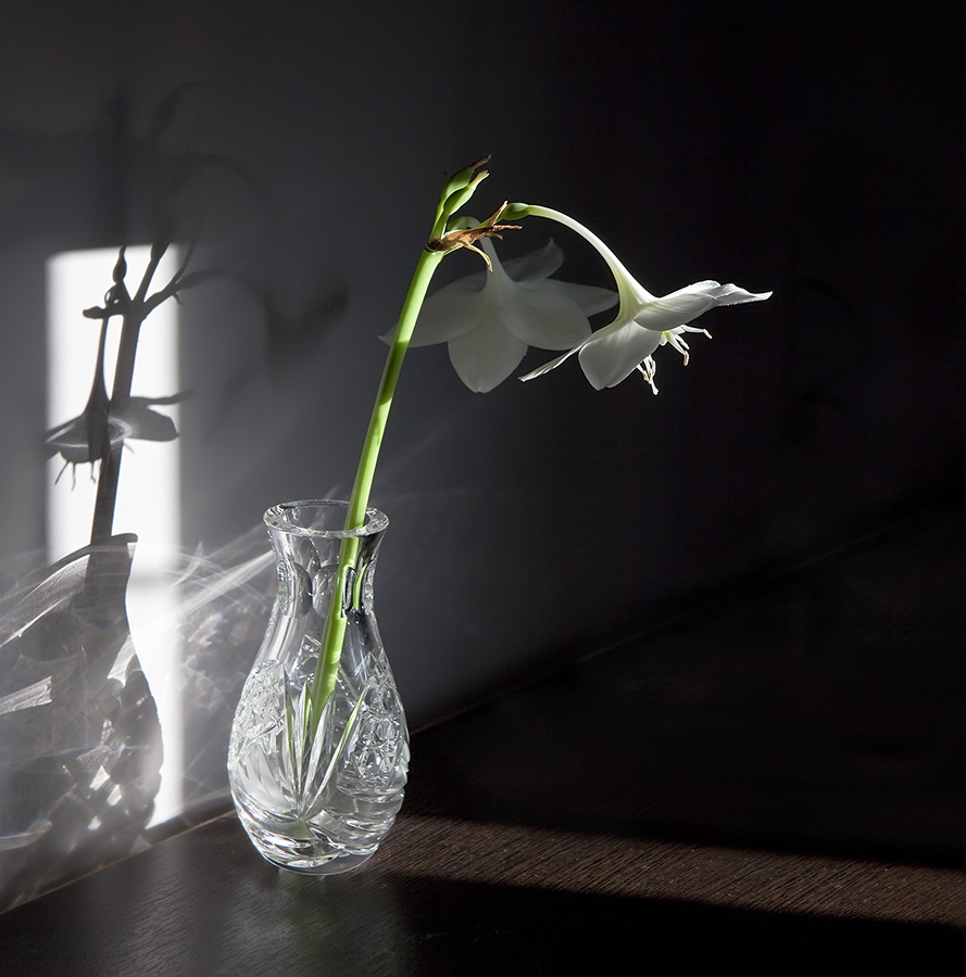 Лучик Весенний...