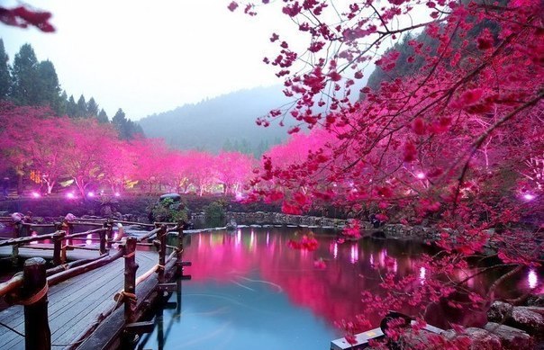 душа требует лета