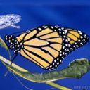 Как сообщил нам начальник пресс-службы Фаринь Ник,