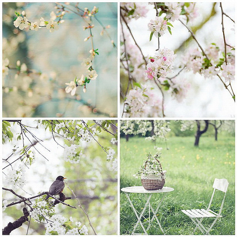 какое небо голубое...