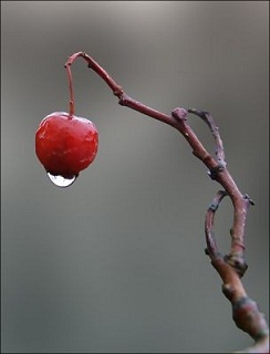 Одна. Марина Танзыкова