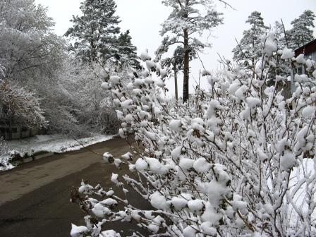 Мелькают нежности мгновенья...