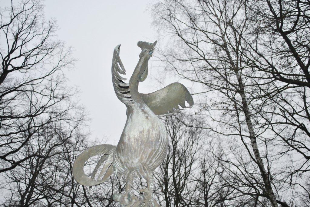 Сольный концерт