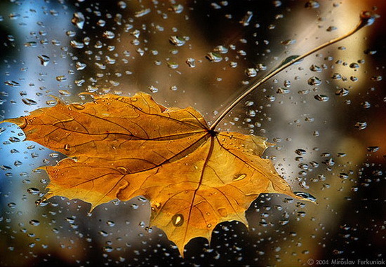 День ото дня - всё тяжелее сердце